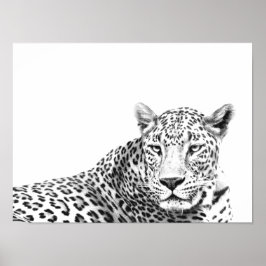 Póster Jaguar blanco y negro moderno de 16 x 12 pulgadas