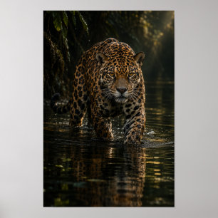 Póster Jaguar caminando a través del agua oscura de la se