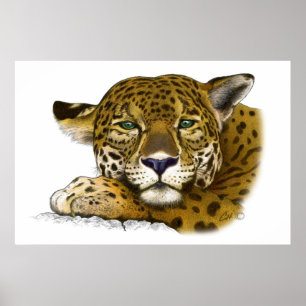 Póster Jaguar coloreó