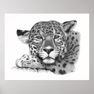 Póster Jaguar en lápiz