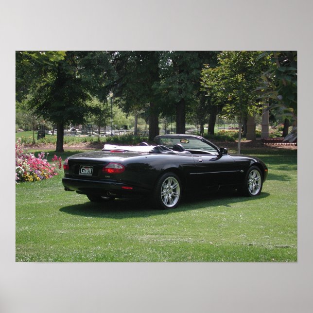 Póster Jaguar XK8 Convertible (Frente)