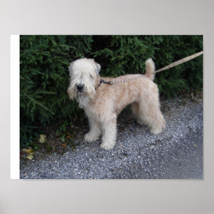 Póster Jake en el Biltmore