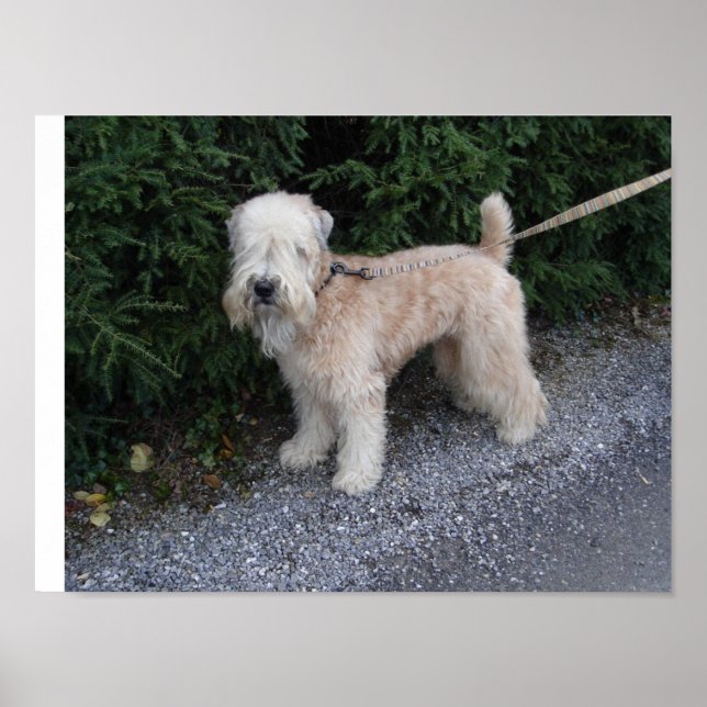 Póster Jake en el Biltmore (Frente)