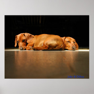 Póster Jake y Dillon