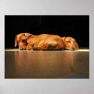 Póster Jake y Dillon