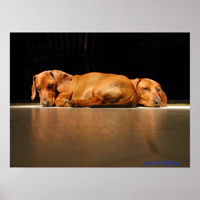 Póster Jake y Dillon (Frente)