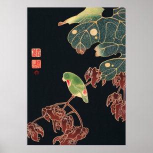 Póster Jakuchu - El parqué