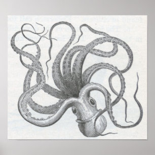Póster James Johonnot - pulpo