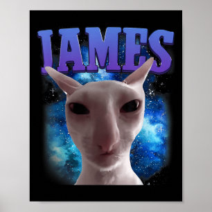 Póster James The Cat Meme Funny Silly Cats Brainrot Meme