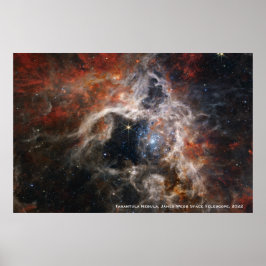 Póster James Webb Tarantula Nebula Hi-Res Imagen 2022
