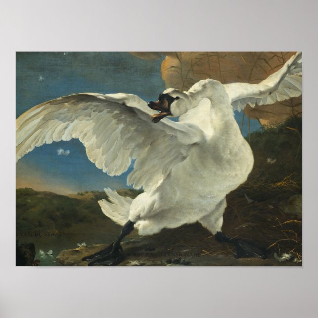 Póster Jan Asselyn - El cisne amenazado (Frente)