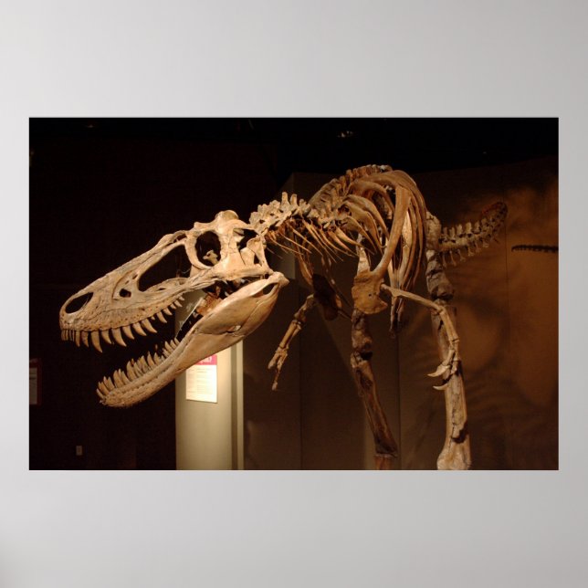 Póster Jane - Ver #6 (Frente)