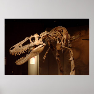 Póster Jane - visión #6