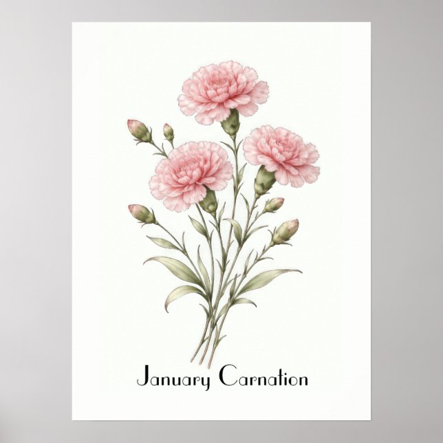 Póster January Carnation Flowers (Frente)