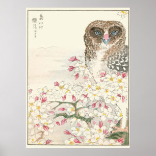 Póster Japan Owl Vintage Print