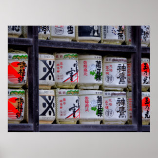 Póster Japan Travel