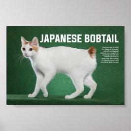 Póster Japanese Bobtail Cat Breed