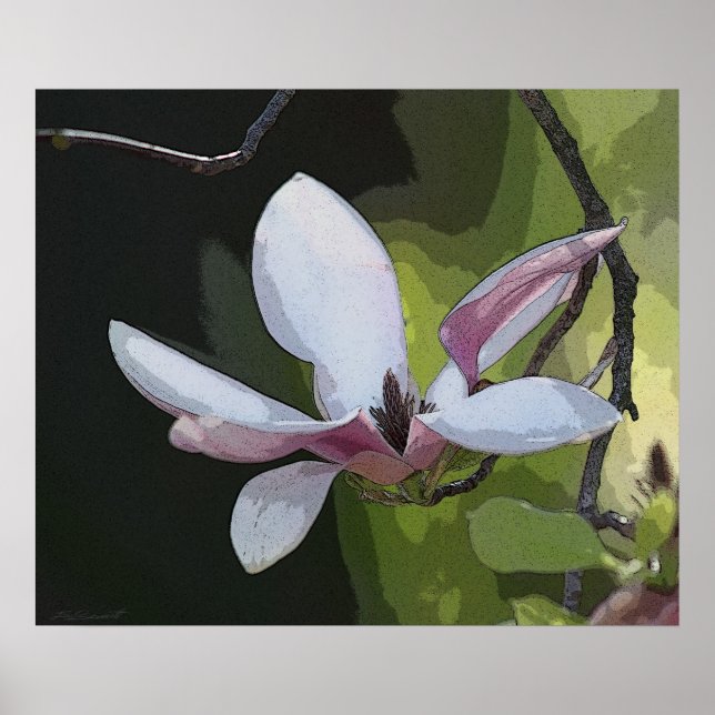 Póster Japanese Magnolia Art Print -24x20 -or smaller (Frente)