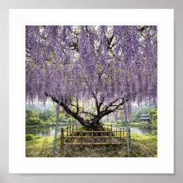 Póster Japanese Wisteria – Art Print