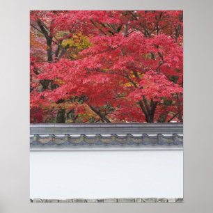 Póster Japón, Kioto, color de otoño en el templo Eikando