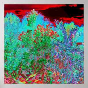 Póster Jardín abstracto colorido con puesta de sol de Cri