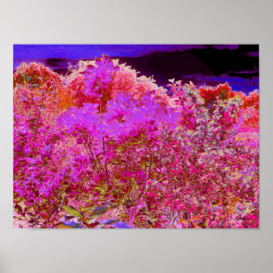 Póster Jardín abstracto colorido con puesta de sol púrpur