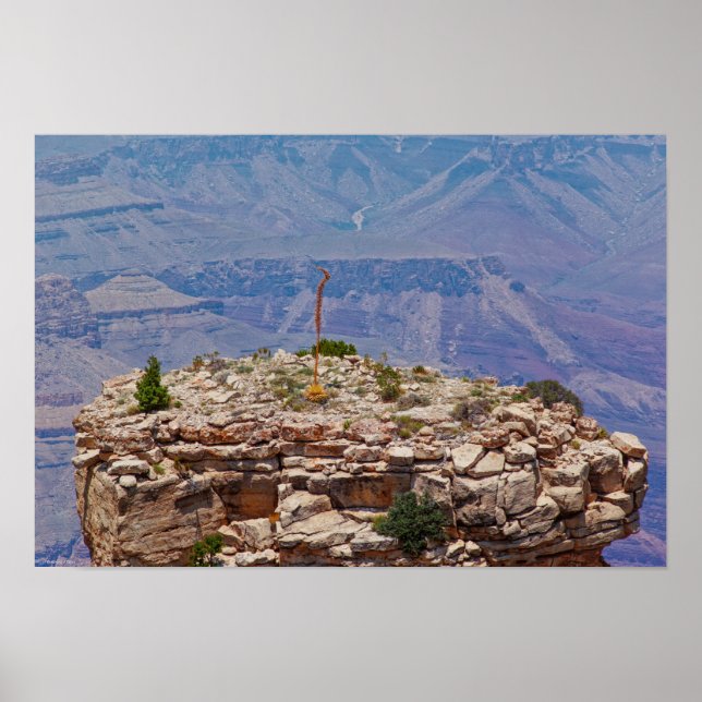 Póster Jardín alto (Frente)