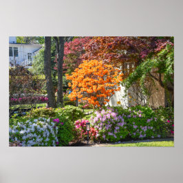 Póster Jardín Azalea Trail en Tyler, Texas