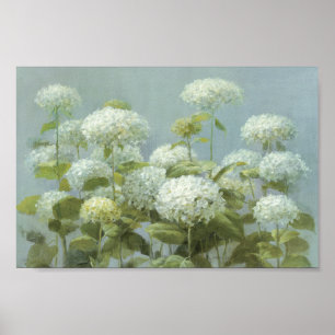Póster Jardín blanco del Hydrangea