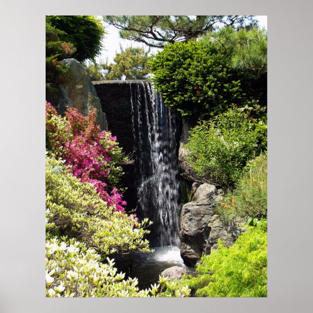 Póster Jardín Botánico de Misuri (Frente)