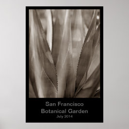 Póster Jardín Botánico de San Francisco #1