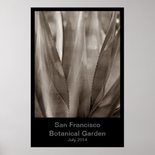 Póster Jardín Botánico de San Francisco #1