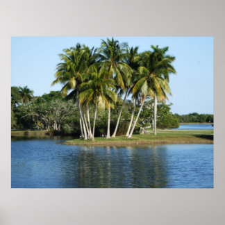 Póster Jardín Botánico Tropical Fairchild