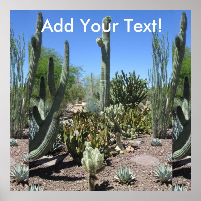 Póster Jardín Cactus de Arizona (Frente)