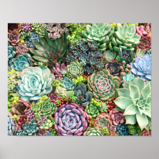 Póster Jardín colorido y exitoso