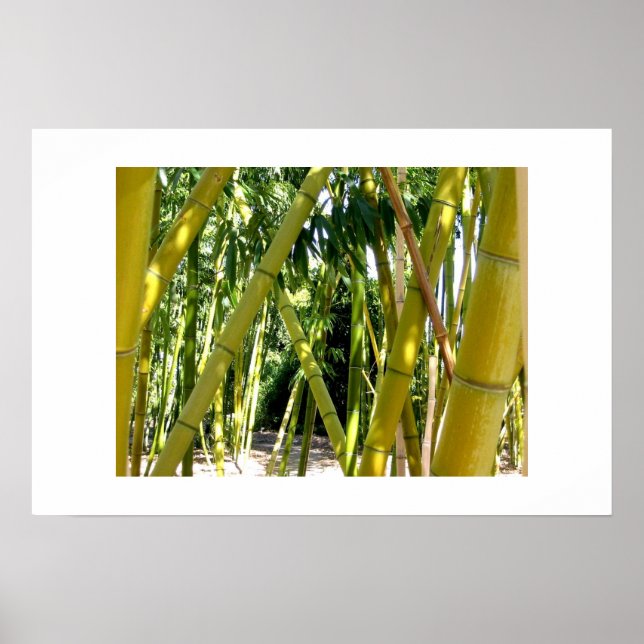 Póster Jardín de Bambú (Frente)