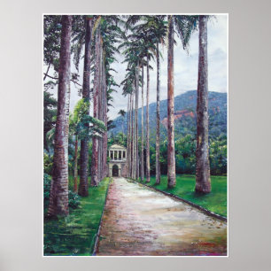 Póster Jardin de Botanica in Rio de Janeiro