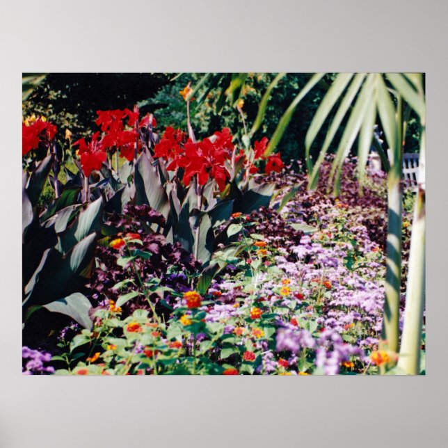 Póster Jardín de curación (Frente)