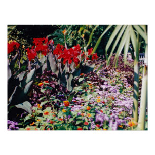 Póster Jardín de curación