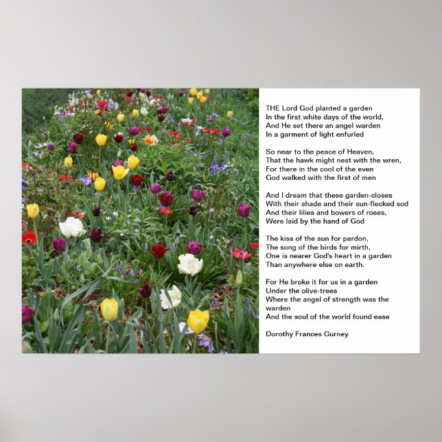 Póster Jardín de Dios (Frente)