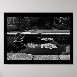 Póster Jardín de escultura