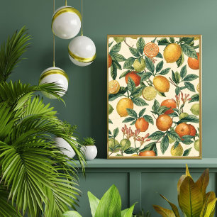 Póster Jardín de Flor de Cítricos Patrón Continuo