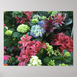 Póster Jardín de flores