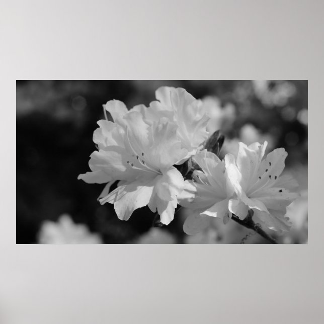 Póster Jardín de flores (Frente)