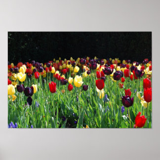 Póster Jardín de flores