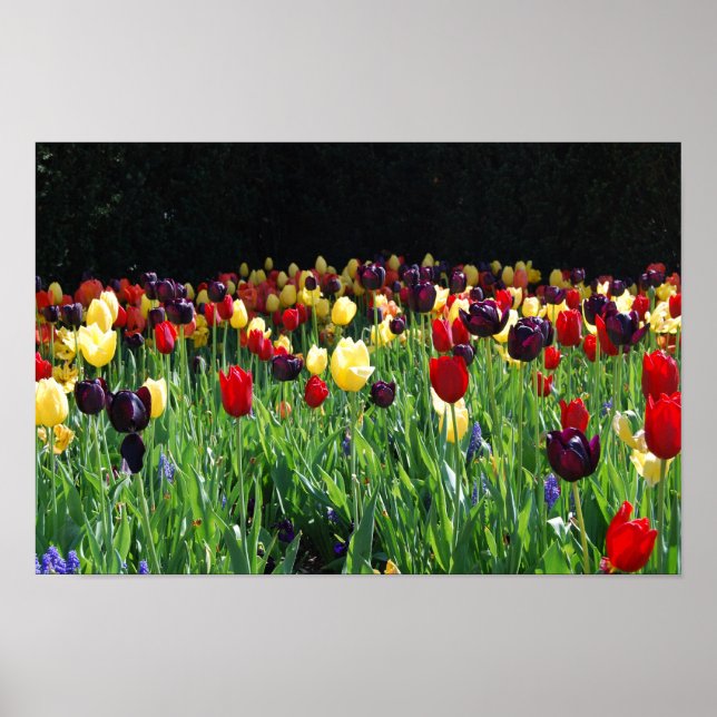 Póster Jardín de flores (Frente)