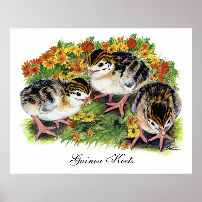 Póster Jardín de flores de keets (Frente)