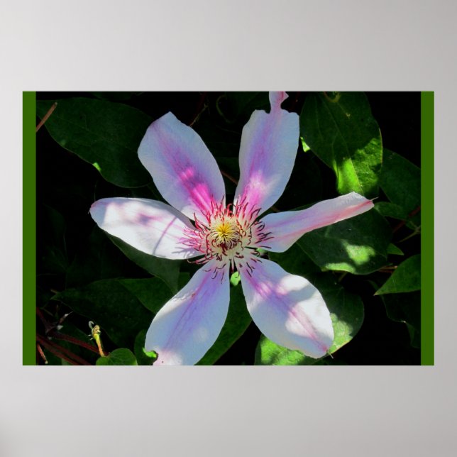 Póster Jardín de flores de mamá (Frente)