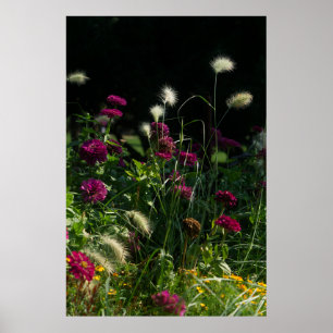 Póster Jardín de flores de Praga Park