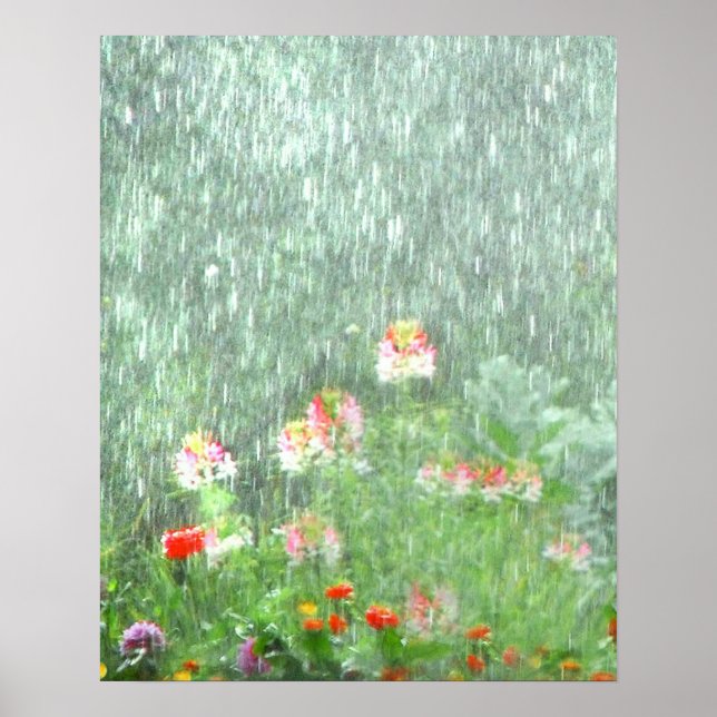 Póster Jardín de flores en el Poster de la lluvia (Frente)
